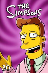 The Simpsons: Season 30